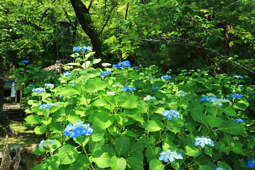 撮影日：2024年6月5日（水）