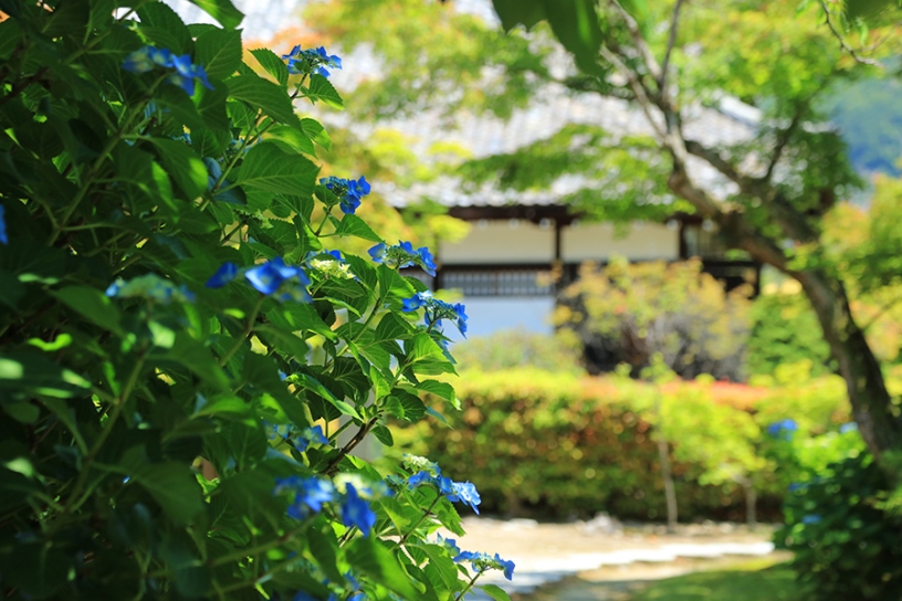 撮影日：2024年6月5日（水）