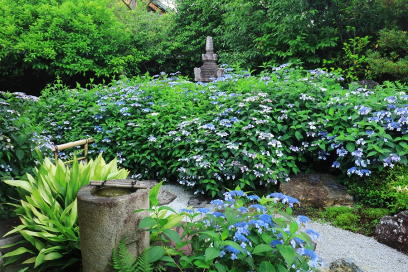 撮影日：2024年6月7日（金）