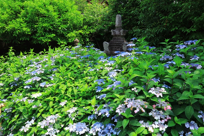 撮影日：2024年6月7日（金）