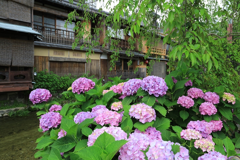 撮影日：2024年6月6日（木）