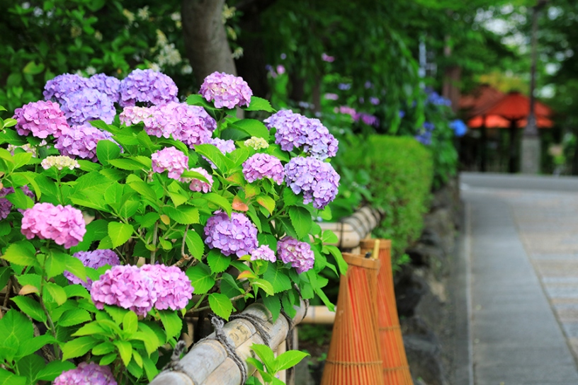 撮影日：2024年6月6日（木）