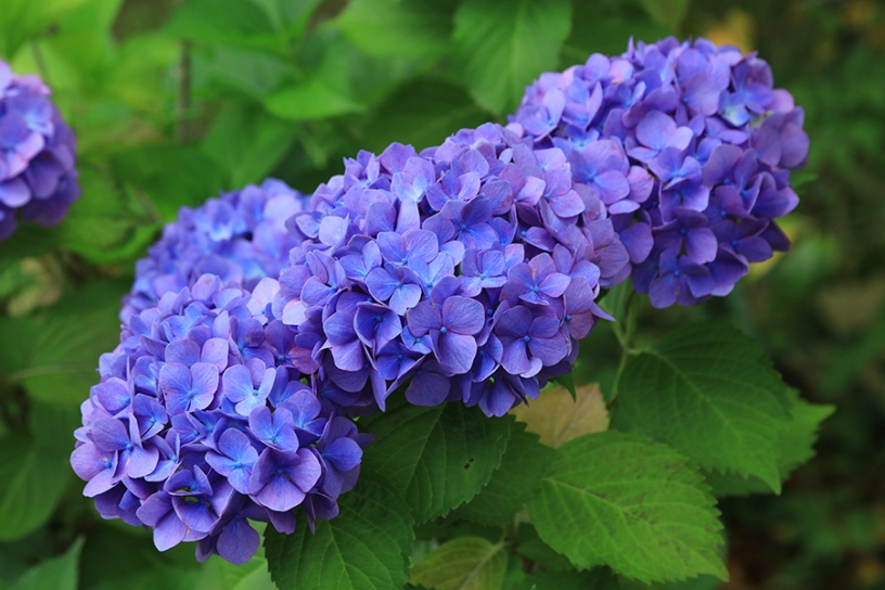 撮影日：2024年6月6日（木）