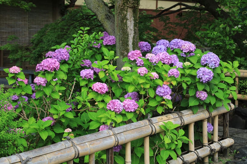 撮影日：2024年6月6日（木）
