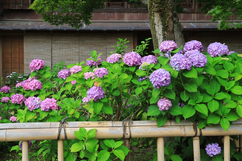 撮影日：2024年6月6日（木）