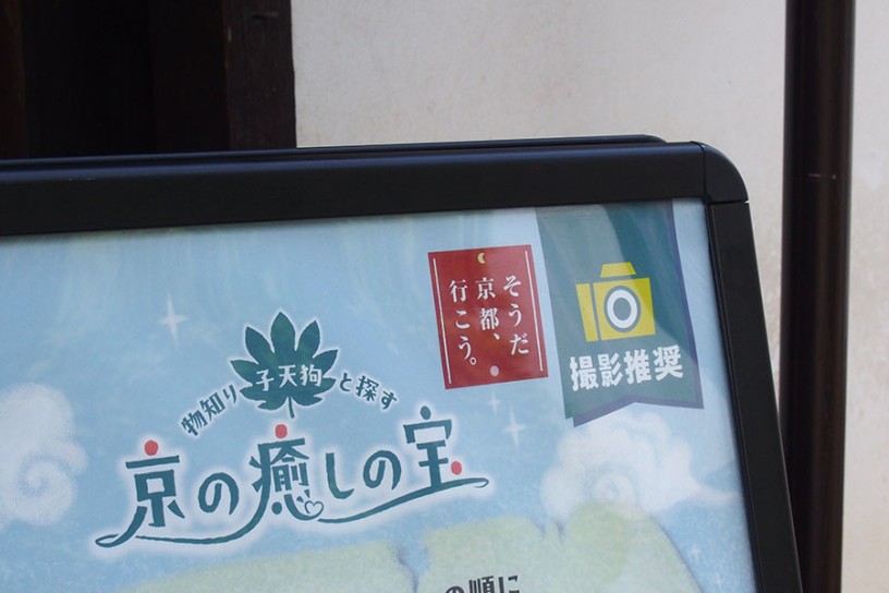 発見！ 撮影して、ゆっくり謎を解くと良さそうです