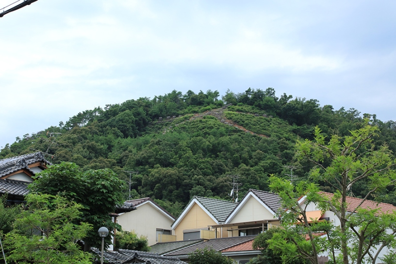 西大路通と北大路通の交差点付近