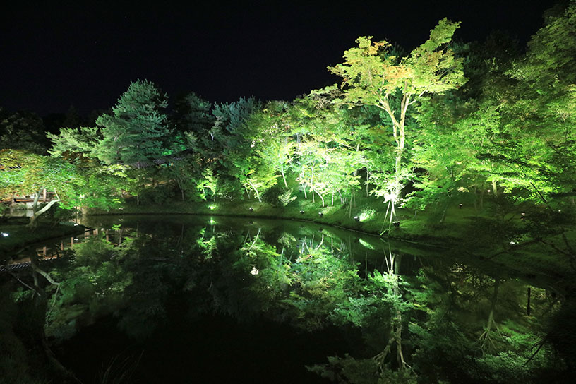 池にリフレクションする光景が美しい