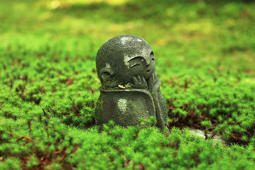 お寺でほほ笑む、癒しのお地蔵さん4選｜そうだ 京都、行こう。