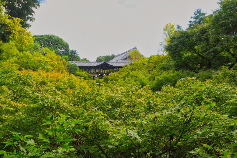 東福寺（撮影日：2024年10月9日）