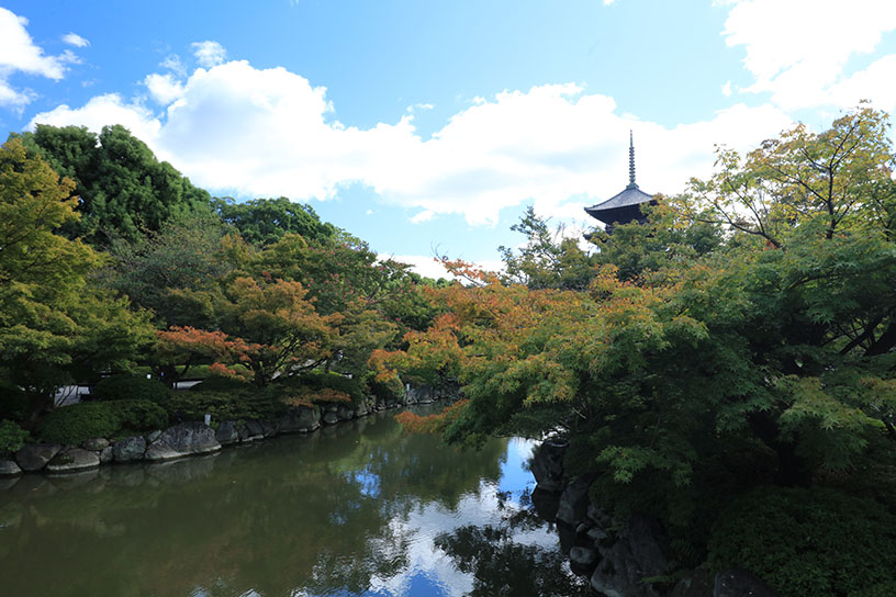 東寺（撮影日：2024年10月9日）