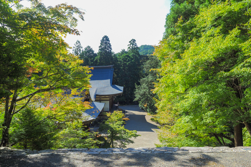 神護寺（撮影日：2024年10月11日）