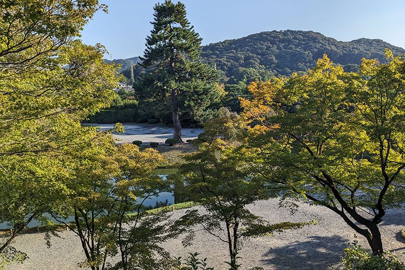 平等院（撮影日：2024年10月14日）