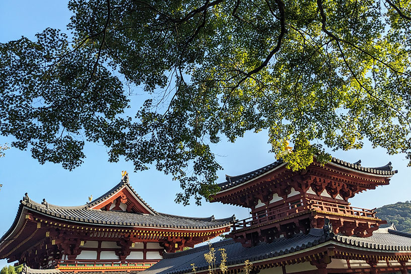 平等院（撮影日：2024年10月14日）