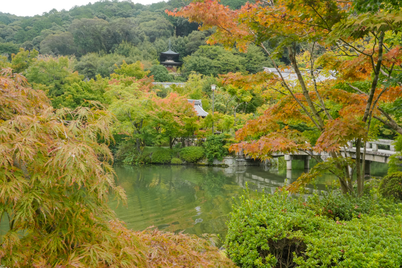 永観堂（撮影日：2024年10月15日）