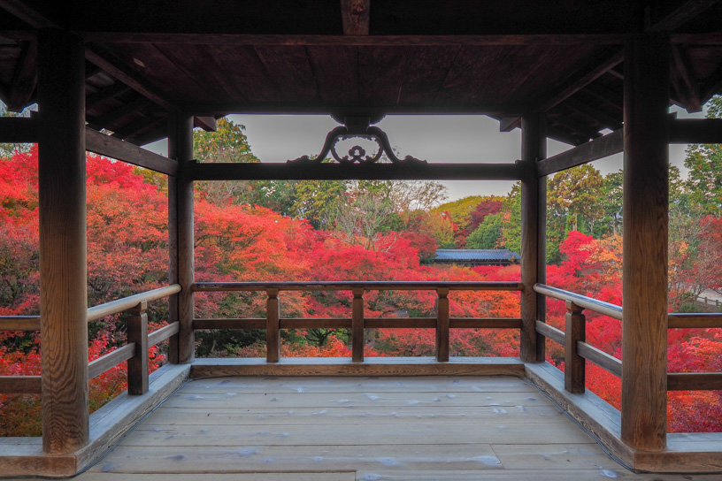 東福寺（撮影日：2023年11月27日）