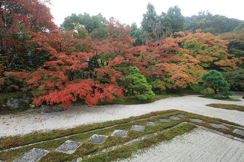 南禅寺 天授庵（撮影日：2023年11月10日）