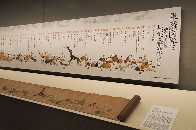 描かれている果物と野菜が何かわかるように展示されています（推定）