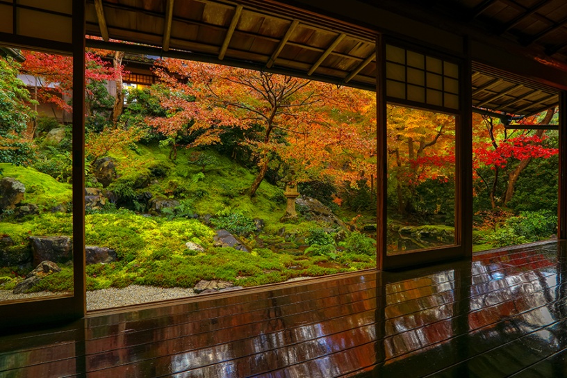 11月下旬の紅葉イメージ