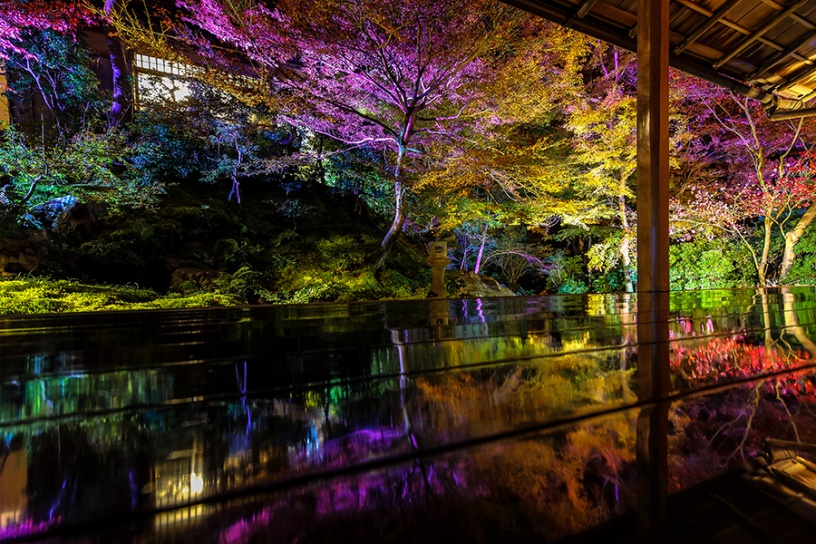 写真は2017年の夜間拝観の模様です