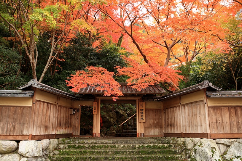 11月下旬の紅葉イメージ