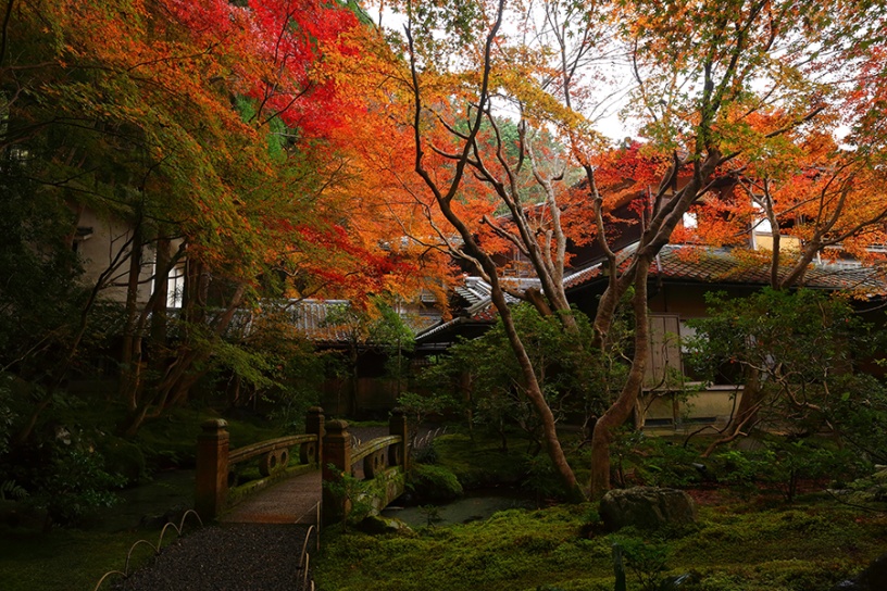 11月下旬の紅葉イメージ