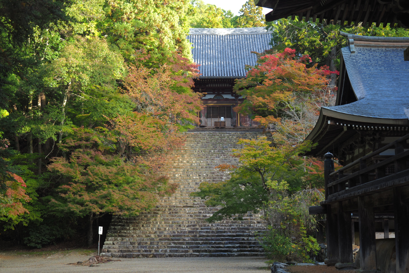 神護寺（撮影日：2024年11月7日）