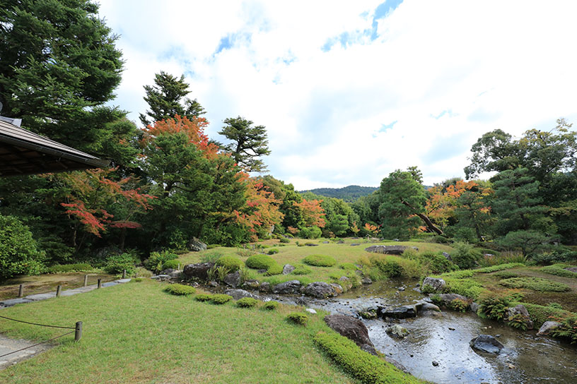 無鄰菴 母屋前から庭園を望む（撮影日：2024年11月7日）