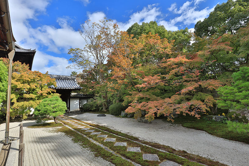 南禅寺 天授庵 方丈東庭（撮影日：2024年11月7日）