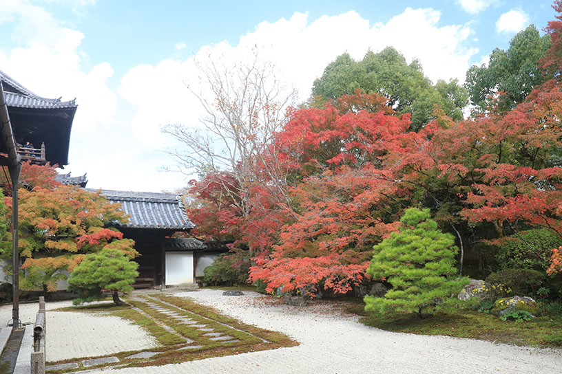 昨年の南禅寺 天授庵 方丈東庭（撮影日：2023年11月7日）