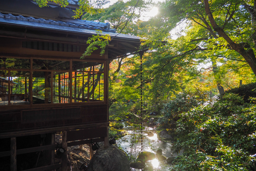 宝厳院 書院前（撮影日：2024年11月14日）