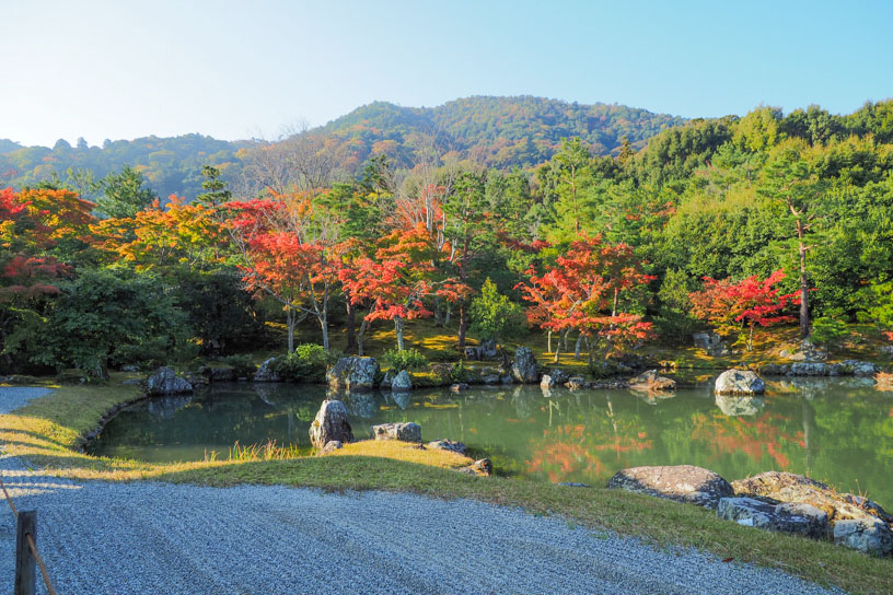 天龍寺 曹源池庭園（撮影日：2024年11月14日）