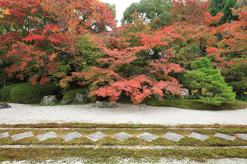 南禅寺 天授庵 方丈東庭（撮影日：2024年11月15日）