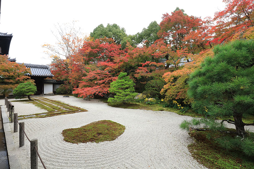 南禅寺 天授庵 方丈東庭（撮影日：2024年11月15日）