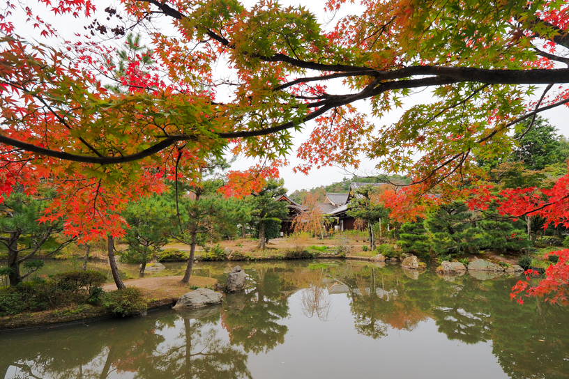 法金剛院（撮影日：2024年11月15日）