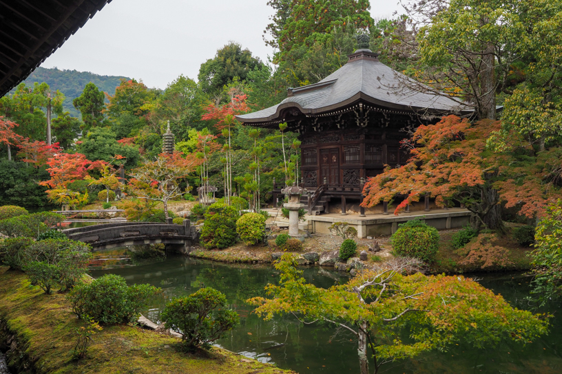 清凉寺 弁天堂まわり（撮影日：2024年11月15日）