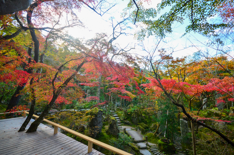 宝泉院 “紅葉舞台”から眺める宝楽園（撮影日：2024年11月21日）