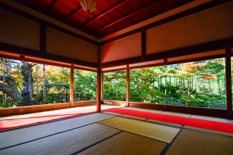 宝泉院 額縁庭園（撮影日：2024年11月21日）