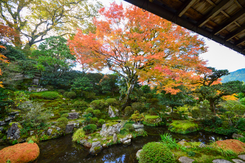 実光院 契心園（撮影日：2024年11月21日）