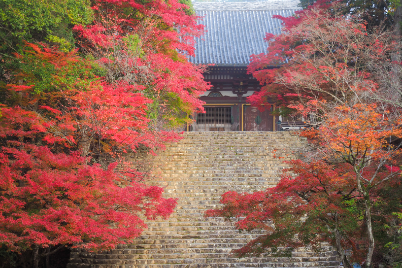 神護寺（撮影日：2024年11月21日）