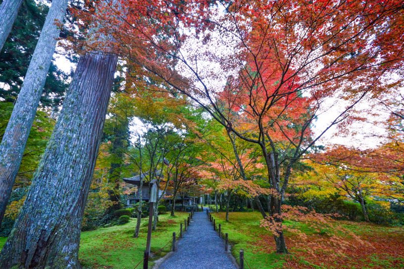 三千院 有清園（撮影日：2024年11月21日）