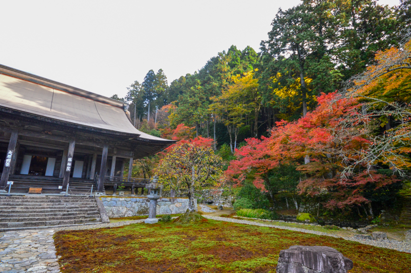 勝林院（撮影日：2024年11月21日）