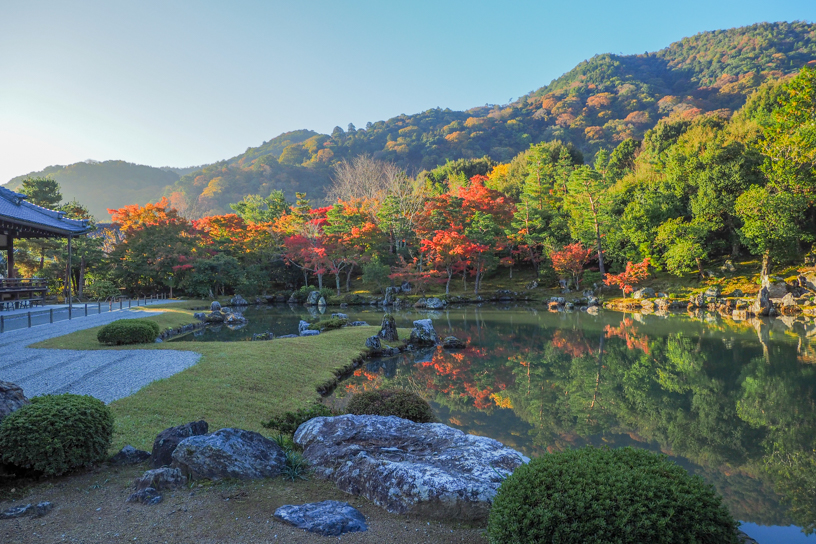 天龍寺（撮影日：2024年11月21日）