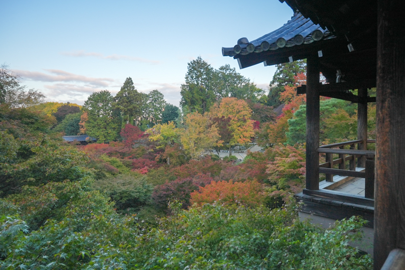 東福寺 通天橋前（撮影日：2024年11月21日）