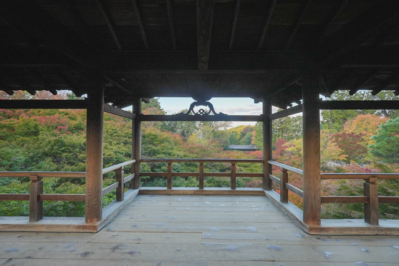 東福寺 通天橋から臥雲橋を望む（撮影日：2024年11月21日）