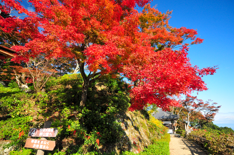 善峯寺（撮影日：2024年11月21日）