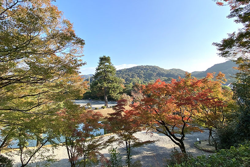 平等院（撮影日：2024年11月22日）