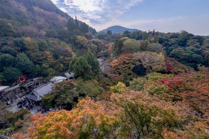 清水寺 本堂からの眺め（撮影日：2024年11月22日）