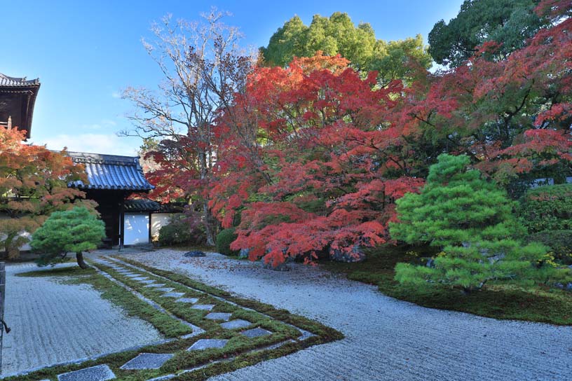 南禅寺 天授庵（撮影日：2024年11月21日）