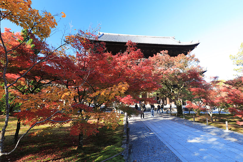 南禅寺（撮影日：2024年11月28日）